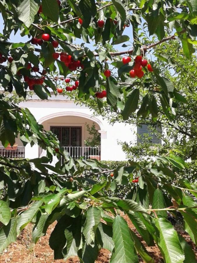 Bed and Breakfast La Volpina à Martina Franca Extérieur photo