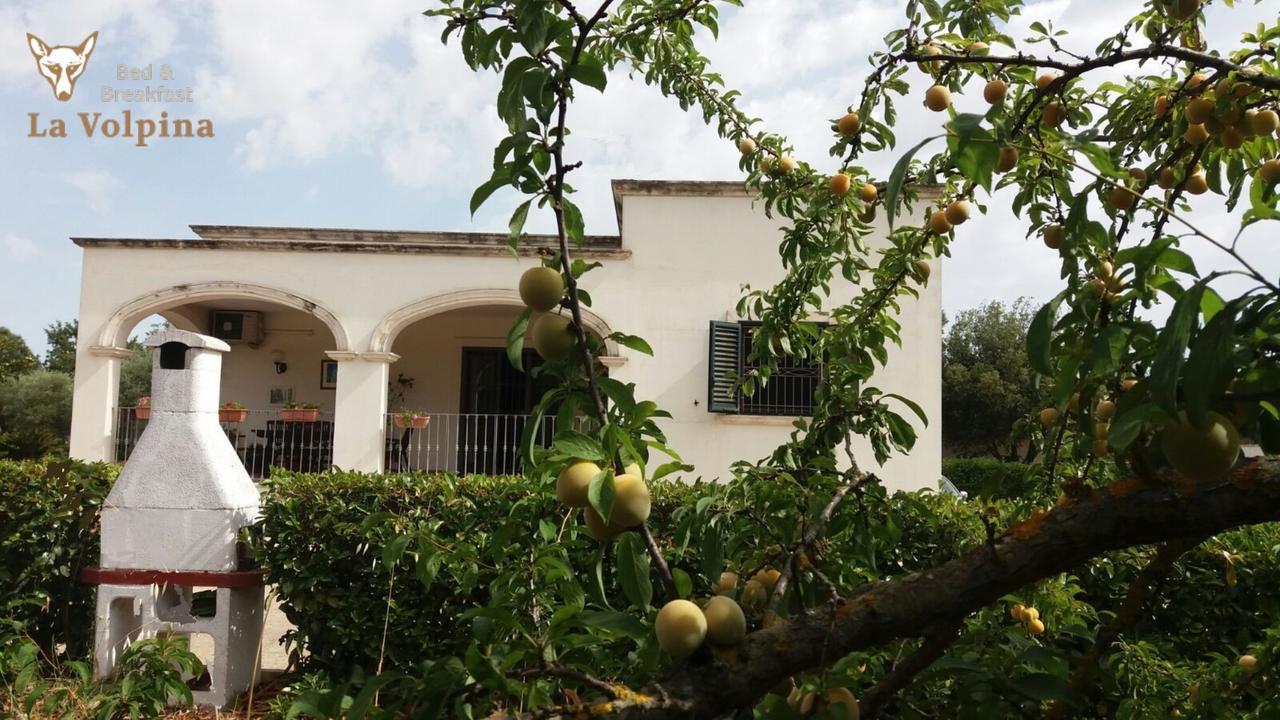 Bed and Breakfast La Volpina à Martina Franca Extérieur photo